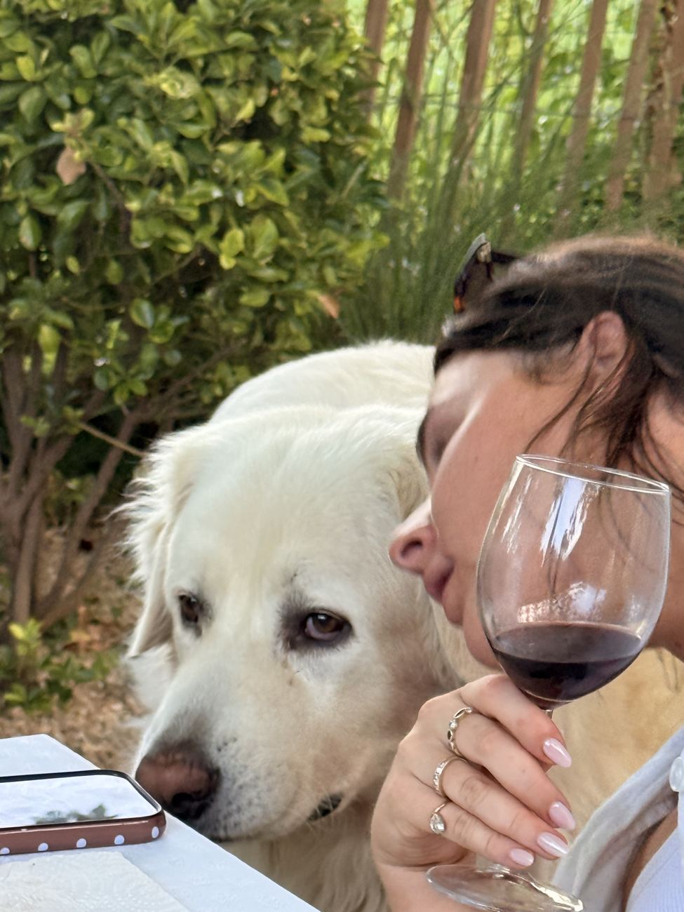 A glass shared with the dog
