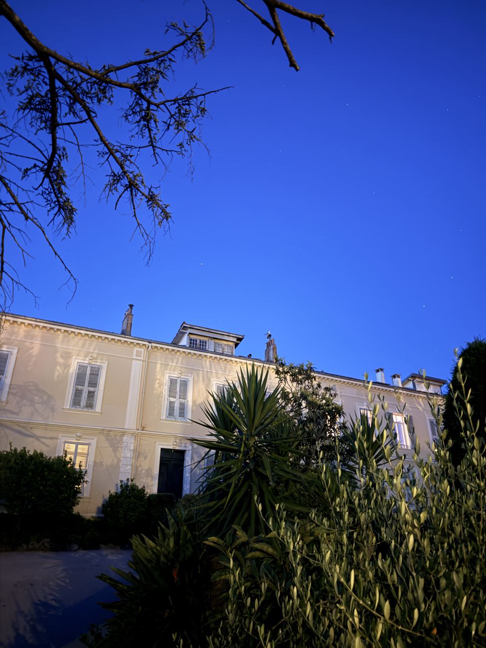 The house at dusk