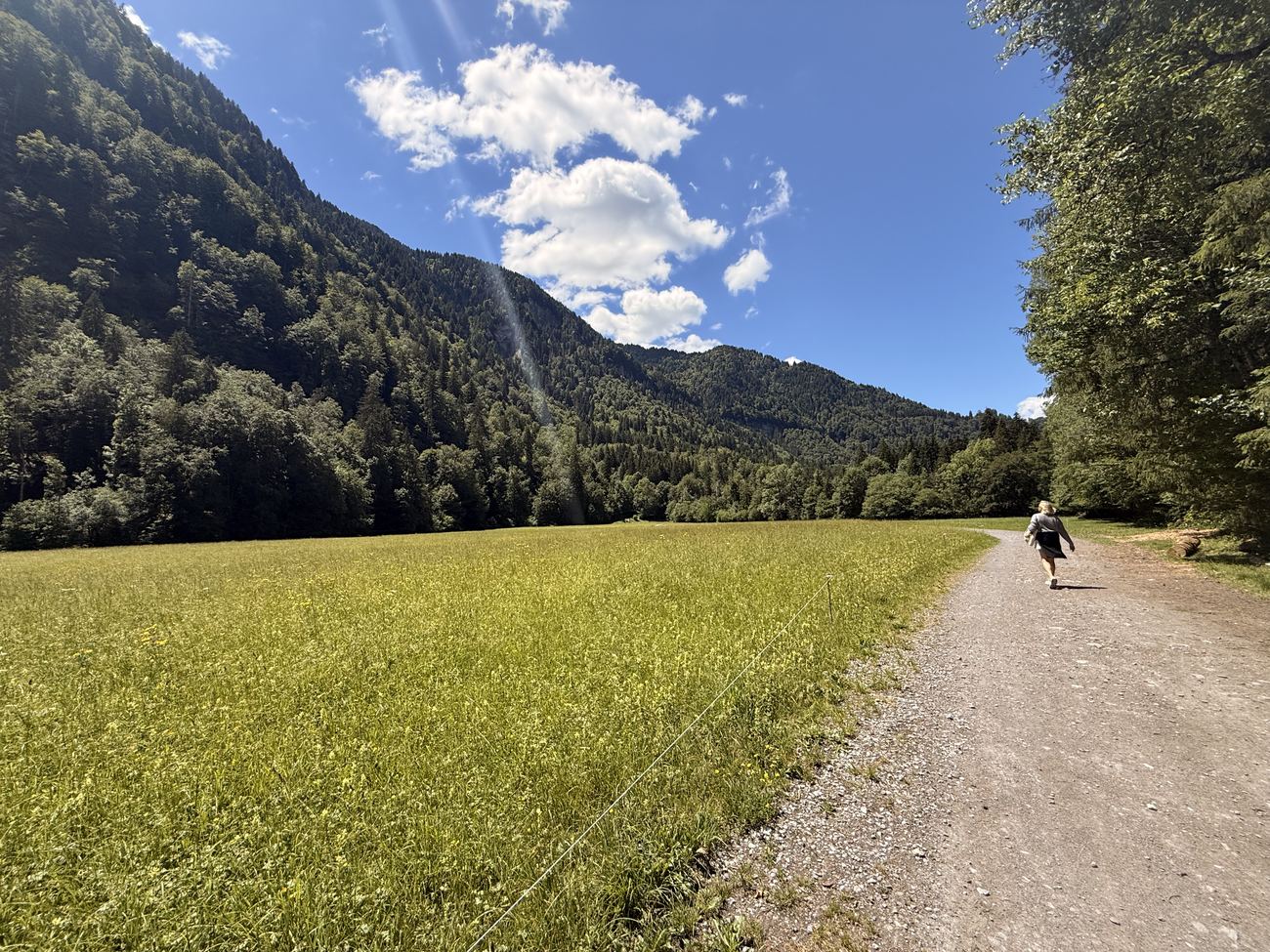 Down the valley track