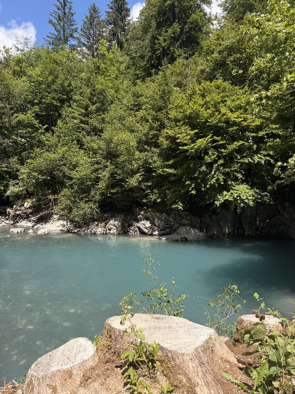The green pool
