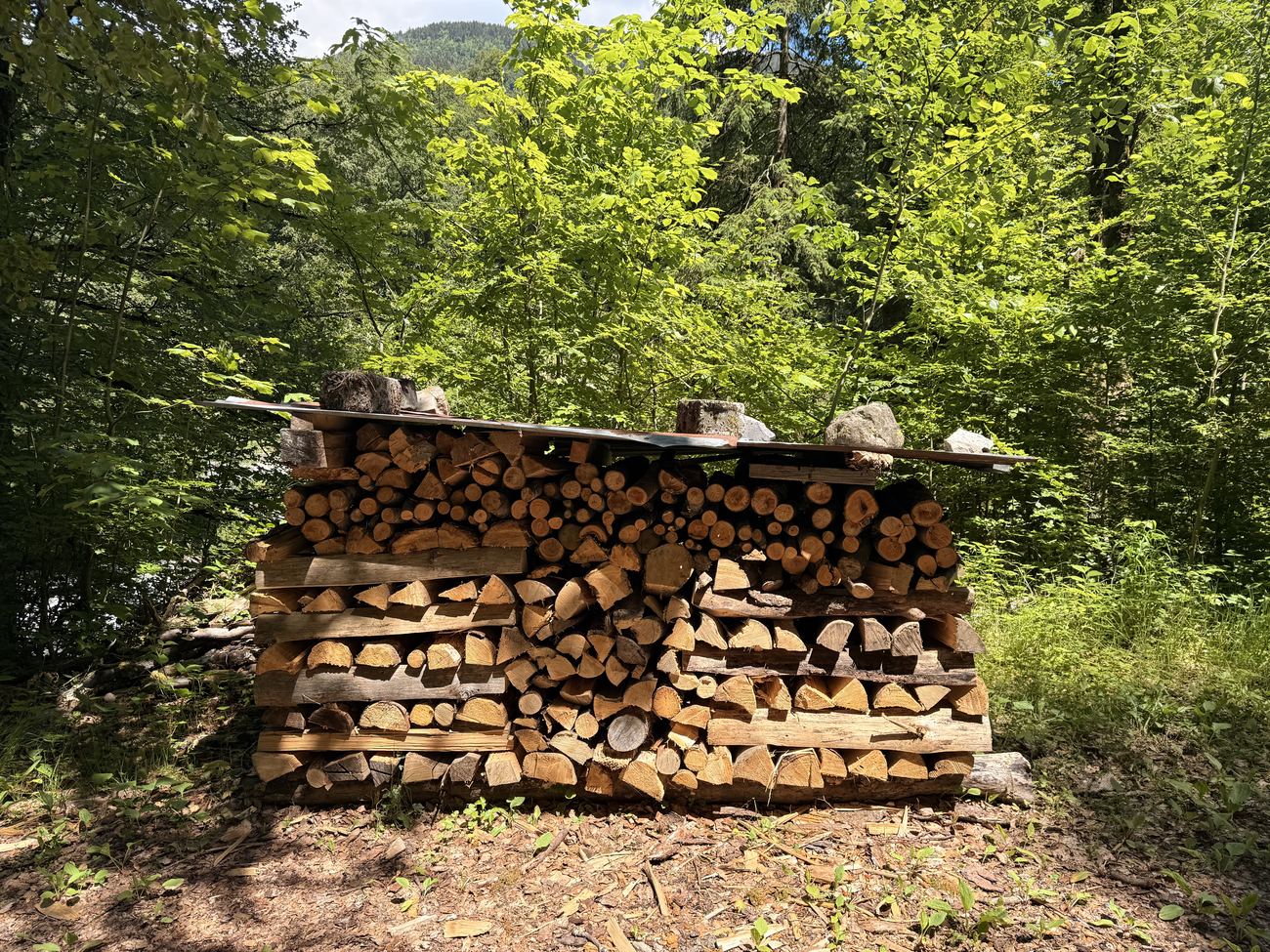 A woodpile, properly kept