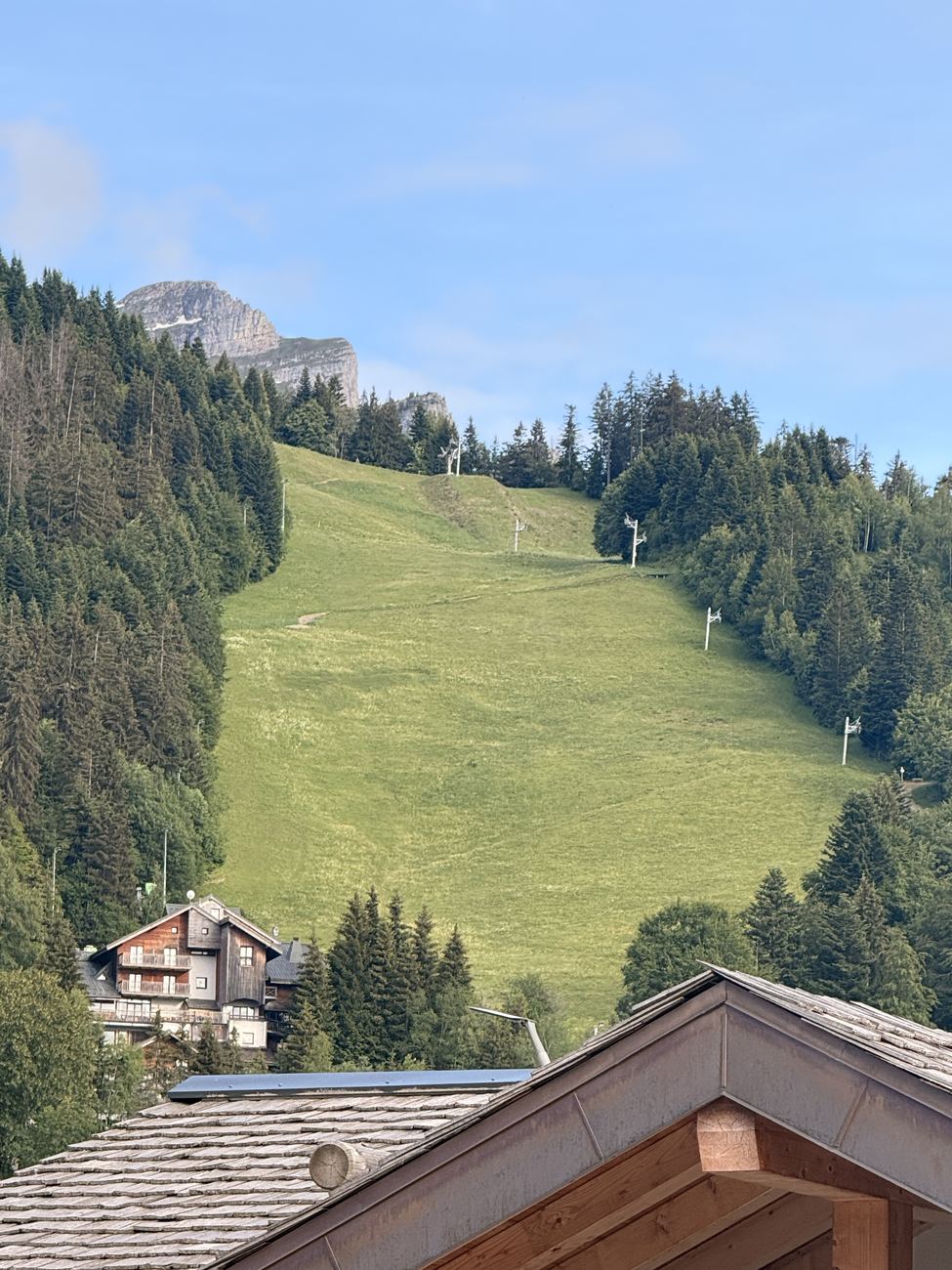 The piste in its summer coat