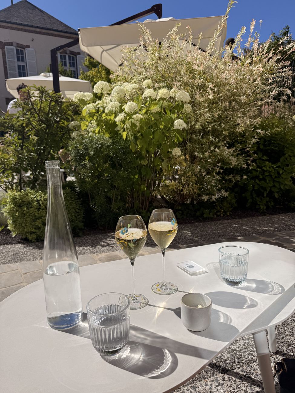 Carafe and flutes